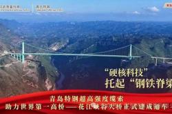 青岛特钢绿色钢铁铸就世界之巅 花江峡谷大桥正式通车