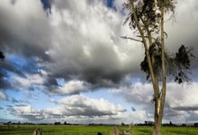 DeepSeek-V3.1发布版本更新