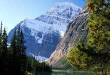 河北省首个！保定入围2025年度国际花园城市全球总决赛