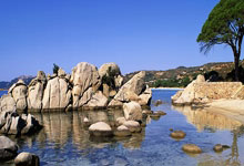 高光时刻，“藝(yì)”起(qǐ)来看(kàn)！