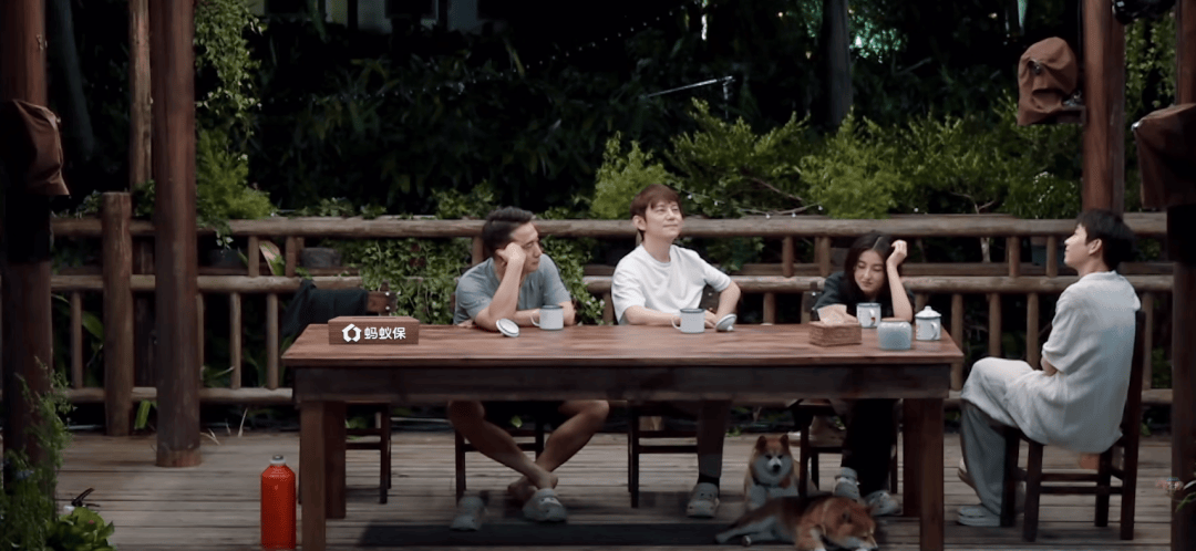 《向往的生活8》摆烂了，挺好