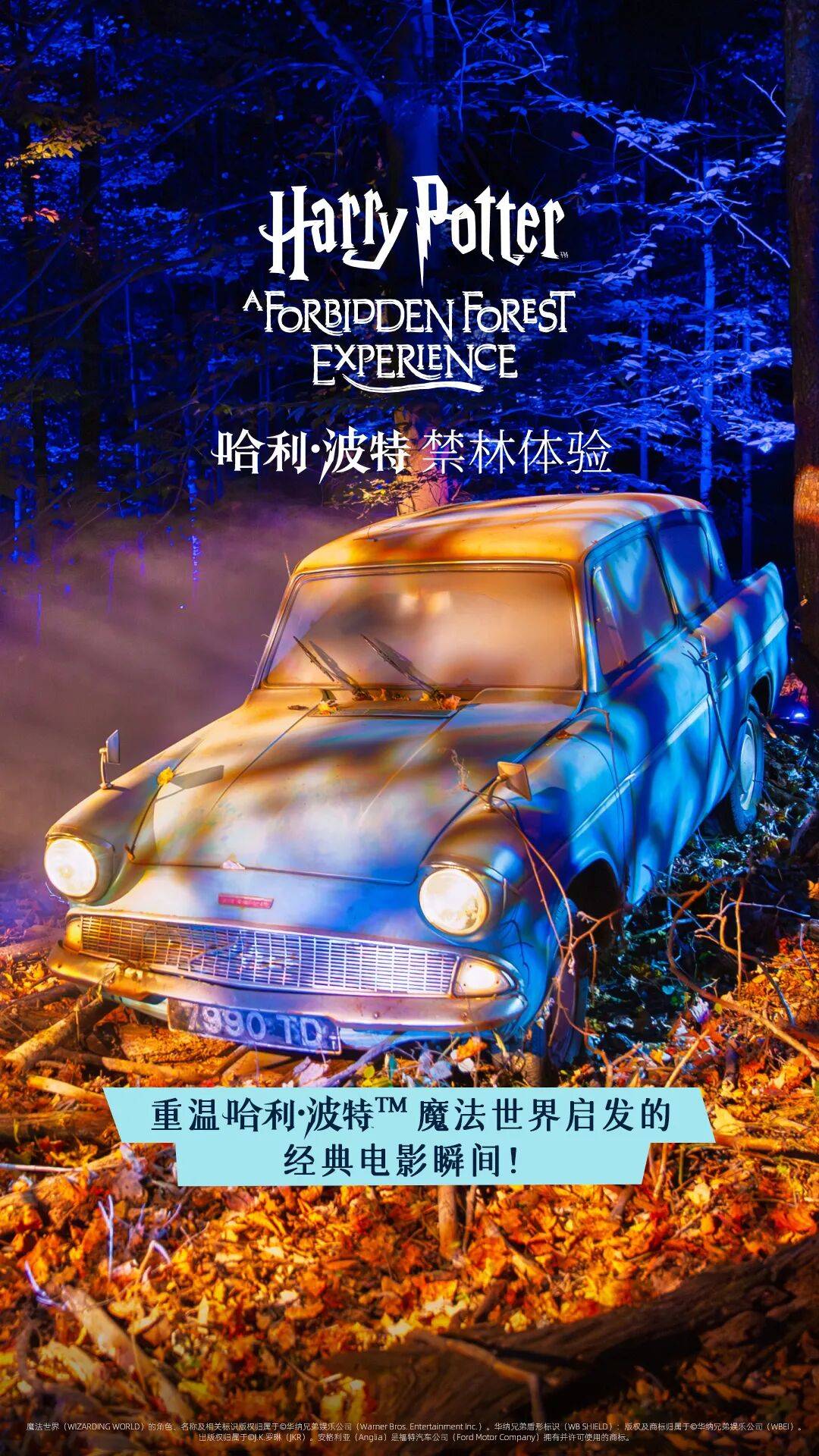 火爆全球的顶流，国庆来深圳！