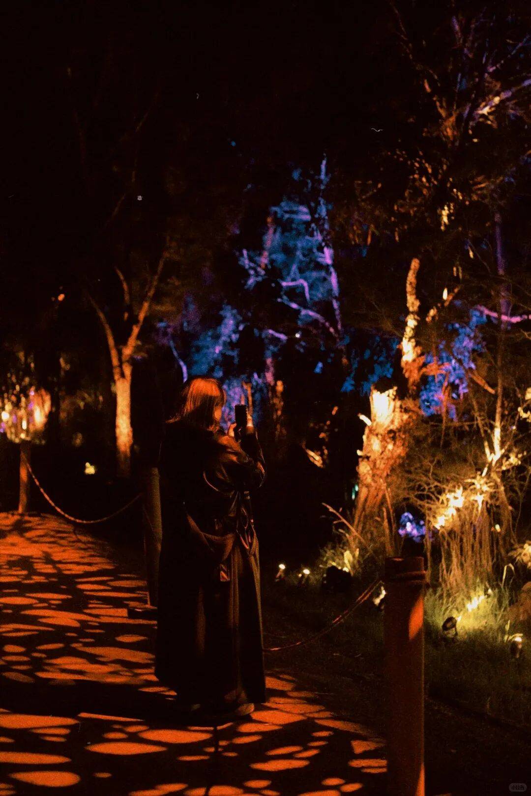 火爆全球的顶流，国庆来深圳！