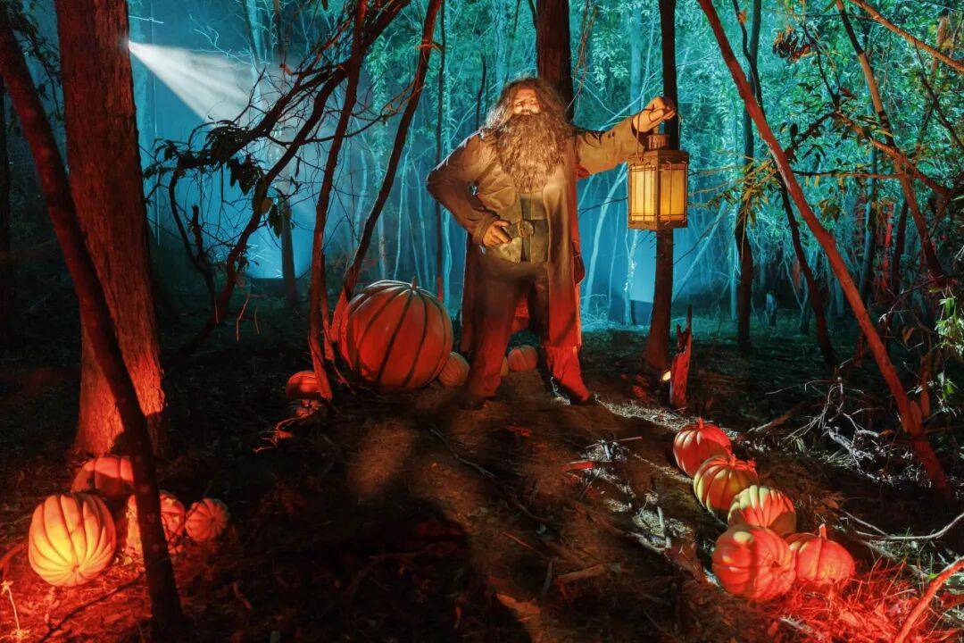 火爆全球的顶流，国庆来深圳！