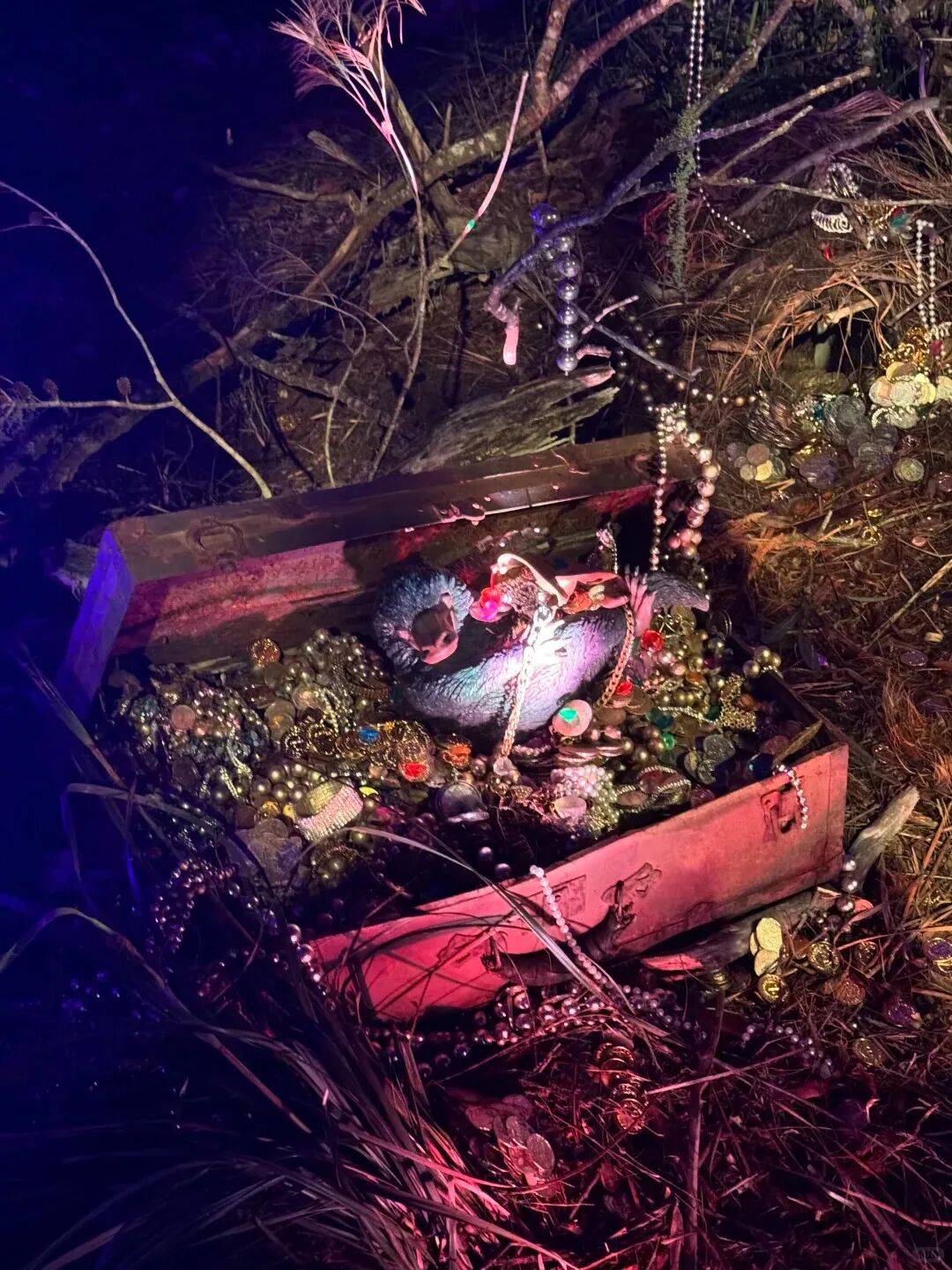 火爆全球的顶流，国庆来深圳！