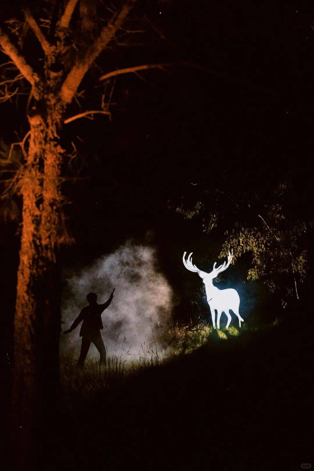 火爆全球的顶流，国庆来深圳！